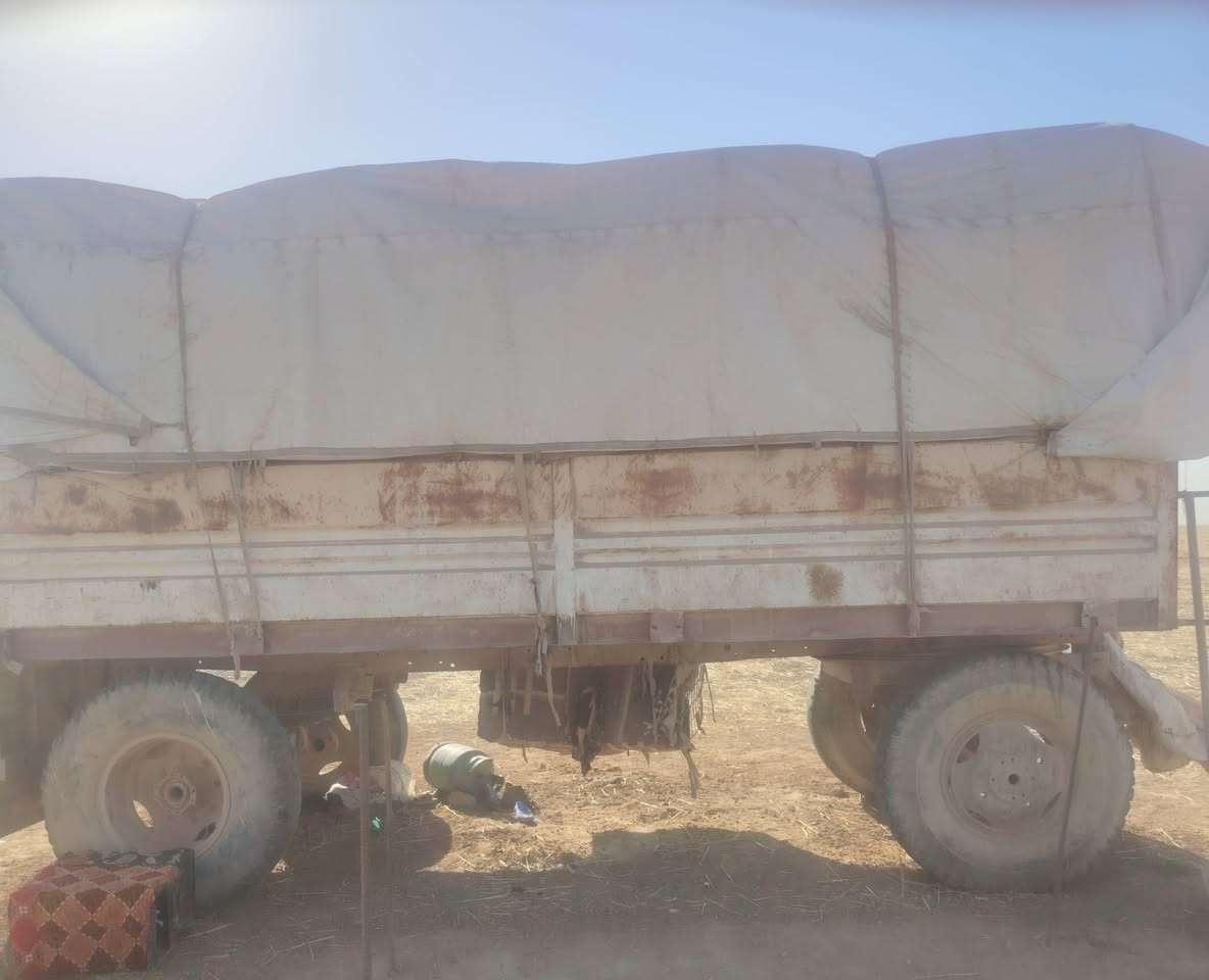عربانه البيع الطول 5 أمتار) (***********
