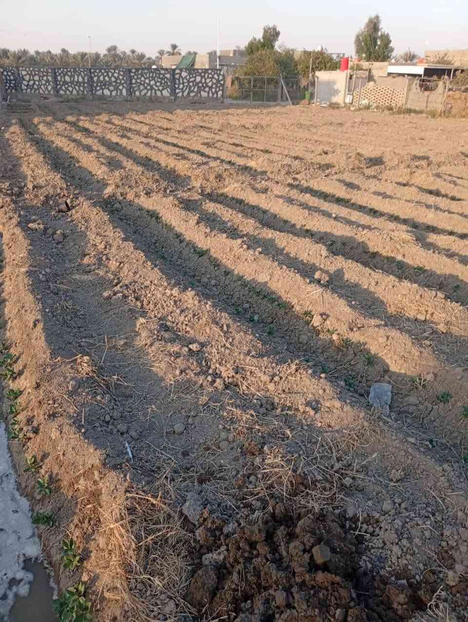 السلام عليكم قطعه ارض1000متر للبيع العنوان بابل منطقة الصياحيه يتوفر كل الخدمات تبعد عن الشارع 200متر جنس العقار طابو سند 25 ،،،،،،***********
