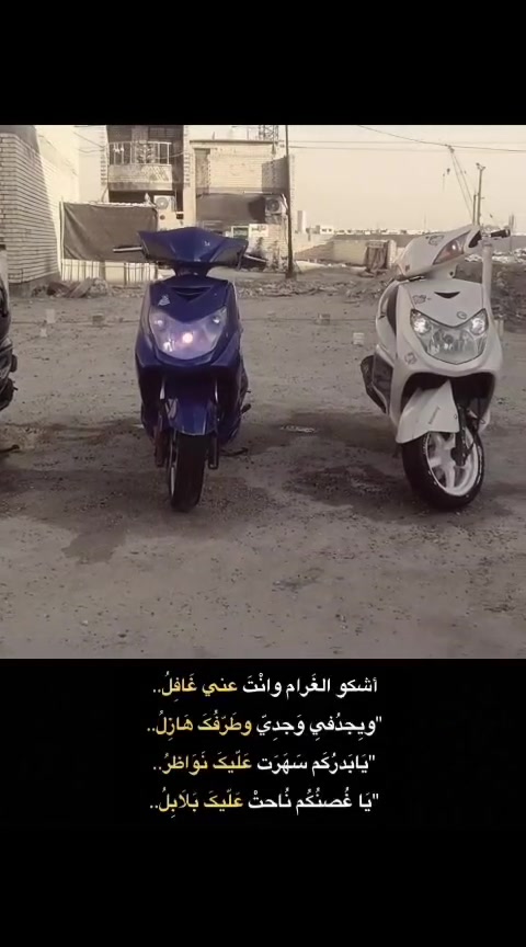سلام عليكم
سكنس فحل
مال رمبه اني منزلها بيدي يشهر 8
دراجه كلش جديده 
مكينه جديد
زوج تايرات جدد جلاتين
حته القايش جديد
اشاير لد 
لون ازرق مميز
صدر امامي خلفي جديد
كهربائيات كلها شغاله
مبينه النضافه 
سعرها بلااش600وبيها مجال
اوراق كامله
مكان بغداد الغزاليه
***********
***********

