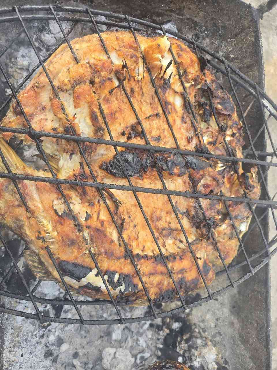 جمعه مباركه الحجز مفتوح 
#سمك #مسكوف 
للحجز ***********
عنوان المقداديه حي العصري شارع مجاور صيدليه اليمامه
