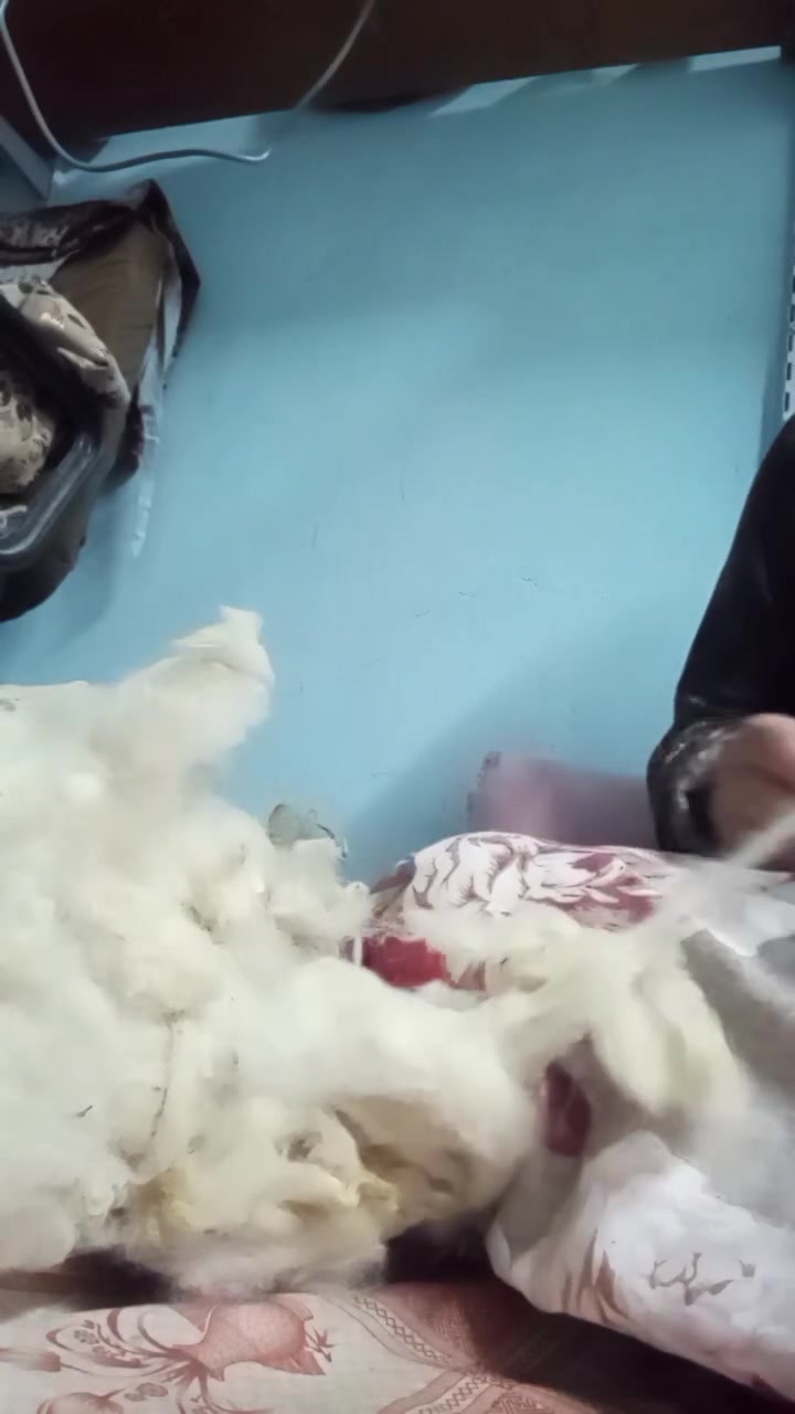 يسعد مساكم  اني  خياطه 
جودلية إلي يحتاج  يراسلني


**إذا كنت صاحب هذا الإعلان وتريد حذفه لأي سبب، رجاءا أرسل رسالة إلى الدعم الفني**