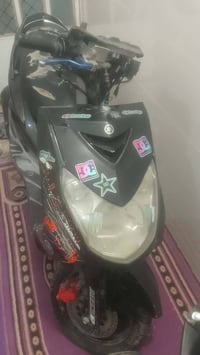 07716972498  سكنس فحل للبيع  الدراجه بوشه وبستم 58  كلجات بلادي بيها س...