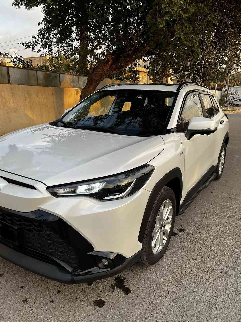 فروتلاندر 2025 فول مواصفات ماشيه 9000 رقم بغداد تحويل مباشر بحالة الوكاله
بصمه/دخول ذكي/تحكم ستير جهتين/تحديد مسار/هندبريك بصمه/ اوتو هولد/شاشه كار بلي/فتحة سقف/تكييف منفصل مناخين/شاحن واير لس /مداخل شحن تايب سي/ كامرات 360 مع تسجيل فديو / داخل جلد اسود /كرسي كهرباء/صندوق كهرباء/بردة صندوقك/ حمالات قماره /دواسات خارجيه مال فروت أصليات/بروجكتور زنون /لايت زنون/ارضيات حوضيه مع صندوق/مطريات 6 قطع اصلي/دوشمه جلد ماروني اماراتي/داشكام امامي خلفي تسجيل 24 ساعه 
مكاني بغداد حي الجهاد 
التواصل عبر الواتساب او الاتصال 
***********
