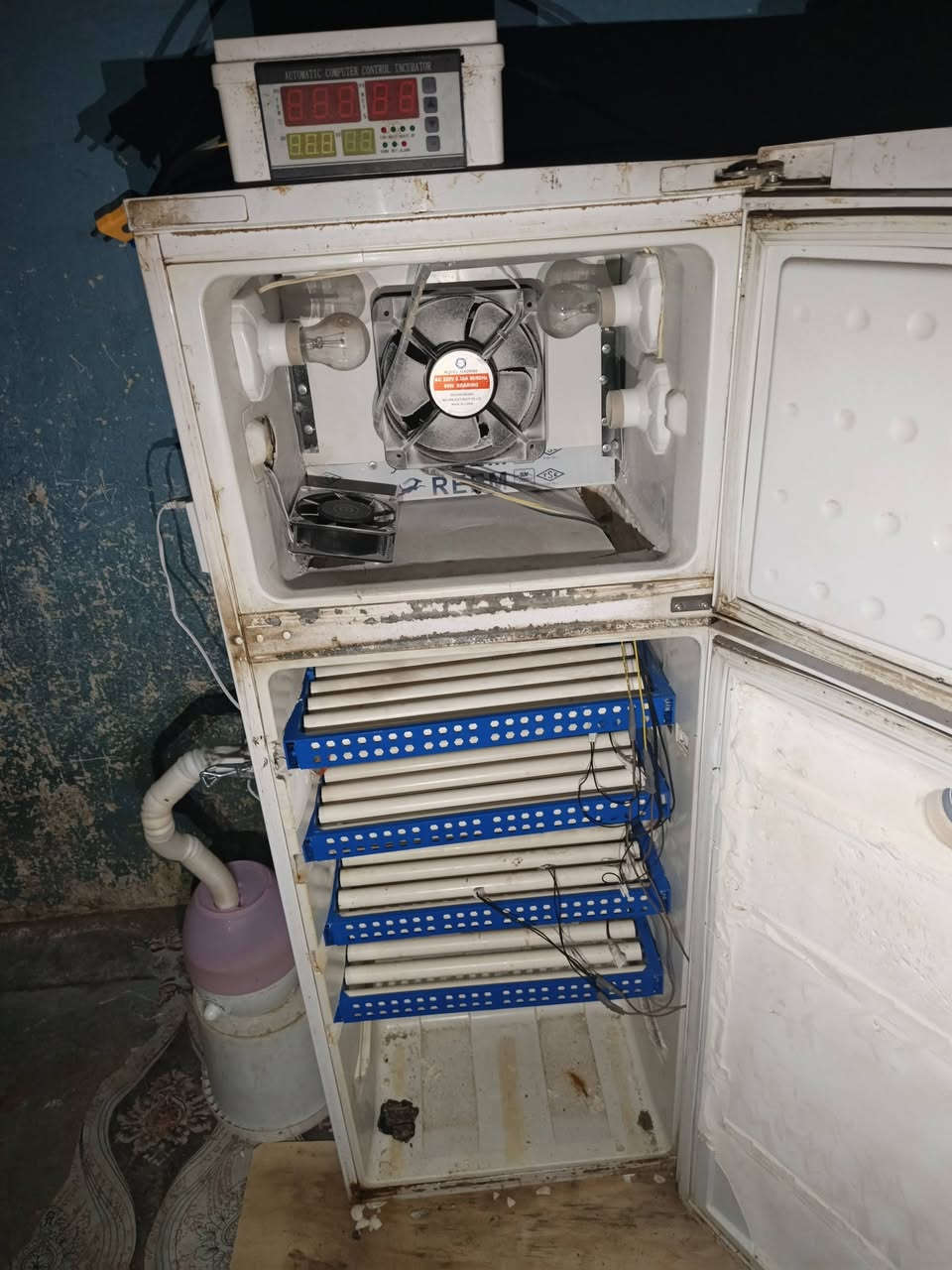 للبيع فقاسه اوتماتيك ثلاجه جاهزه كلشي  شغال تشيل 200بيضه دجاج السعر خاص


**إذا كنت صاحب هذا الإعلان وتريد حذفه لأي سبب، رجاءا أرسل رسالة إلى الدعم الفني**