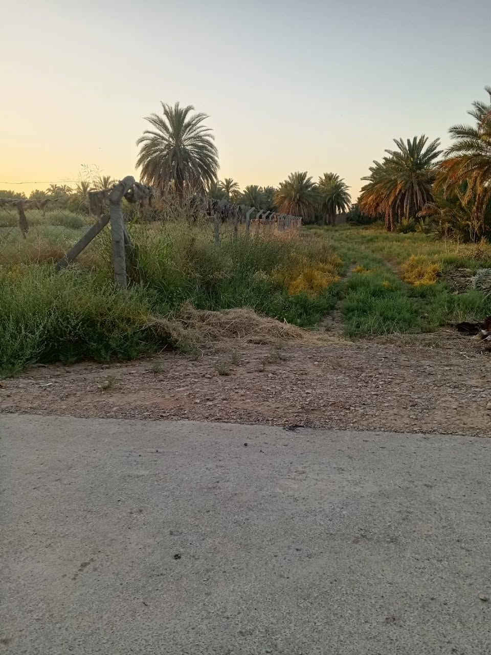 السلام عليكم دونم للبيع طابو زراعي 25 بسمي مي وكهرباء وتبليط جاهز للسكن وبي بتلو الموقع العثمانية خلف اسواق الكربولي بمسافه الاستفسار اكثر اتصل ***********
