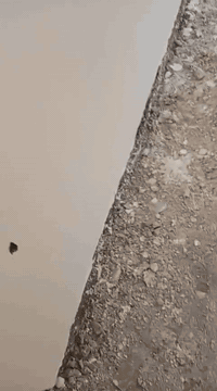 الباخ درجه اؤلا من ناصريع ***********
