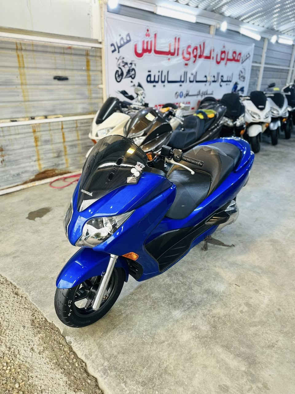 السلام عليكم شباب أخوتي الطيبين 🧿

فورزه 0/10 رمبه وكفاله عامه 7كير 4 تحويلات  شرط المزاد🇯🇵

توصيل كافه المحافضات بيع بلنقد وتقسيط ماستر الرافدين✅

بغداد الغزاليه شارع الضغط معرض علاوي الباش
***********
***********
