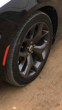 تخم ويل للبيع هوه وتايراته  اي ستفسار  اتصل 07732420659