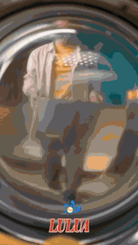 🧺 *لؤلؤة – سائل غسيل الملابس الملونة | حماية الألوان… تنظيف مثالي!

سائل غسيل الملابس الملونة مصمم خصيصاً للعناية بالأقمشة ذات الألوان الزاهية والحفاظ على رونقها دون بهتان. تركيبة فعالة تزيل البقع الصعبة وتمنح ملابسك نظافة عميقة مع حماية اللون في كل غسلة.

---

*💡 المميزات:*

✅ *يحافظ على الألوان الزاهية* – لا مزيد من البهتان أو التلاشي.  
✅ *قوة تنظيف فعالة للبقع* – حتى أصعب البقع تذوب بسهولة.  
✅ *تركيبة ألمانية متطورة* – جودة عالية وتقنية حديثة.  
✅ *مناسب للغسالات الأوتوماتيكية والعادية*.  
✅ *يمنح الملابس رائحة منعشة تدوم طويلاً*.  
✅ *اقتصادي – تركيبة مركزة تدوم لفترات أطول.*

---

*📍 الاستخدام المثالي:*  
- لجميع أنواع الملابس الملونة.  
- مثالي للغسيل اليومي.  
- فعال حتى في درجات الحرارة المنخفضة.

---

*📦 الحجم:* عبوة كبيرة عملية – مناسبة للعائلات والاستخدام المكثف.

---

*📢 لماذا تختار لؤلؤة؟*  
لأن الألوان تستحق العناية الفائقة… و*لؤلؤة تمنحها الحماية والتألق مع كل غسلة!*
للطلب والاستفسار الاتصال على الارقام التالية 
*********** دريد 
*********** ضي
توجد عروض لاصحاب المحال التجارية تتضمن التوصيل المجاني 💯 
---

🛍️ *لؤلؤة – نظافة تحافظ على الجمال.*
