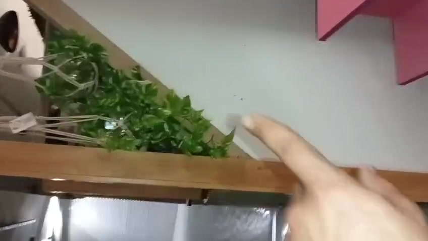 ديكور اخشاب للبيع مع الانارة 
***********

