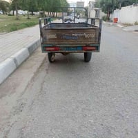 ستوته • بدون اوراق • كربلاء
