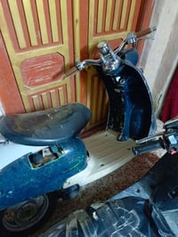 مصرية • منغولي فحل • ١٥٠ و ٢٠٠