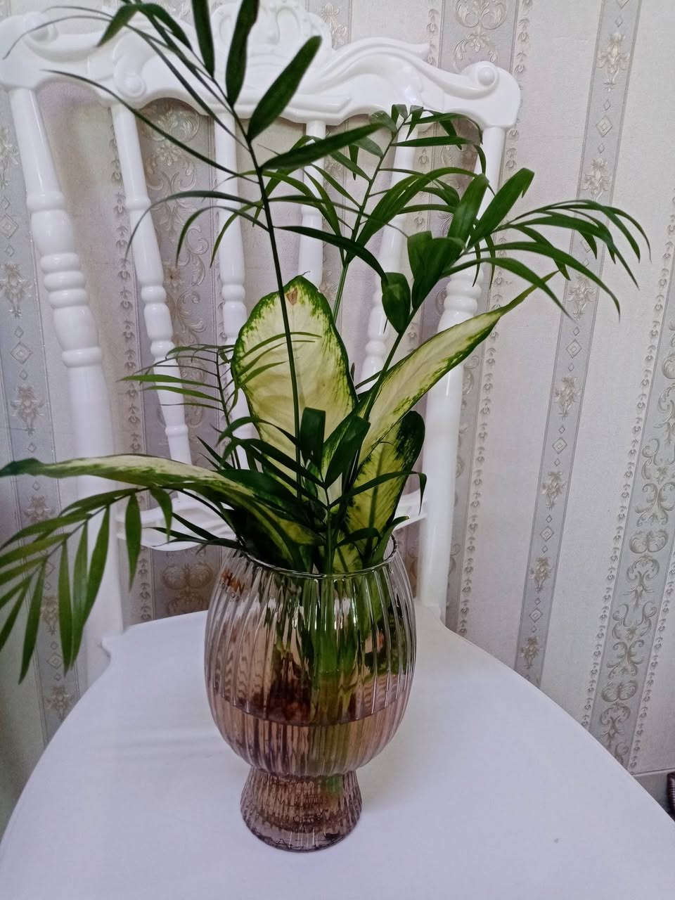 زرع طبيعي ماءي قاروره


**إذا كنت صاحب هذا الإعلان وتريد حذفه لأي سبب، رجاءا أرسل رسالة إلى الدعم الفني**