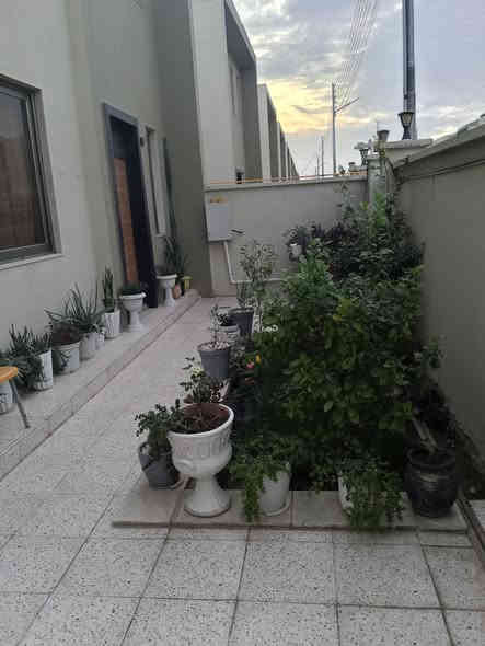 السلام عليكم ورحمة الله 
بيت للبيع في مجمع الزيتون (دور الشمس) مساحة 252 متر غرف نوم عدد 3 
2نضام سويت استقبال كبيره هول داخلي مطبخ   حمامات 
كراج يسع 2سياره   السعر 340 مليون
استفسار اكثر  التواصل  *********** 
يوجد واتساب
