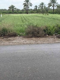 بغداد الراشدية ثلاث3 دوانم  السعر الدونم واحد سعرها75بية مجال واجها50ا...