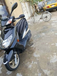 سكوتر كوري • فئة جولد • كفالة عامة