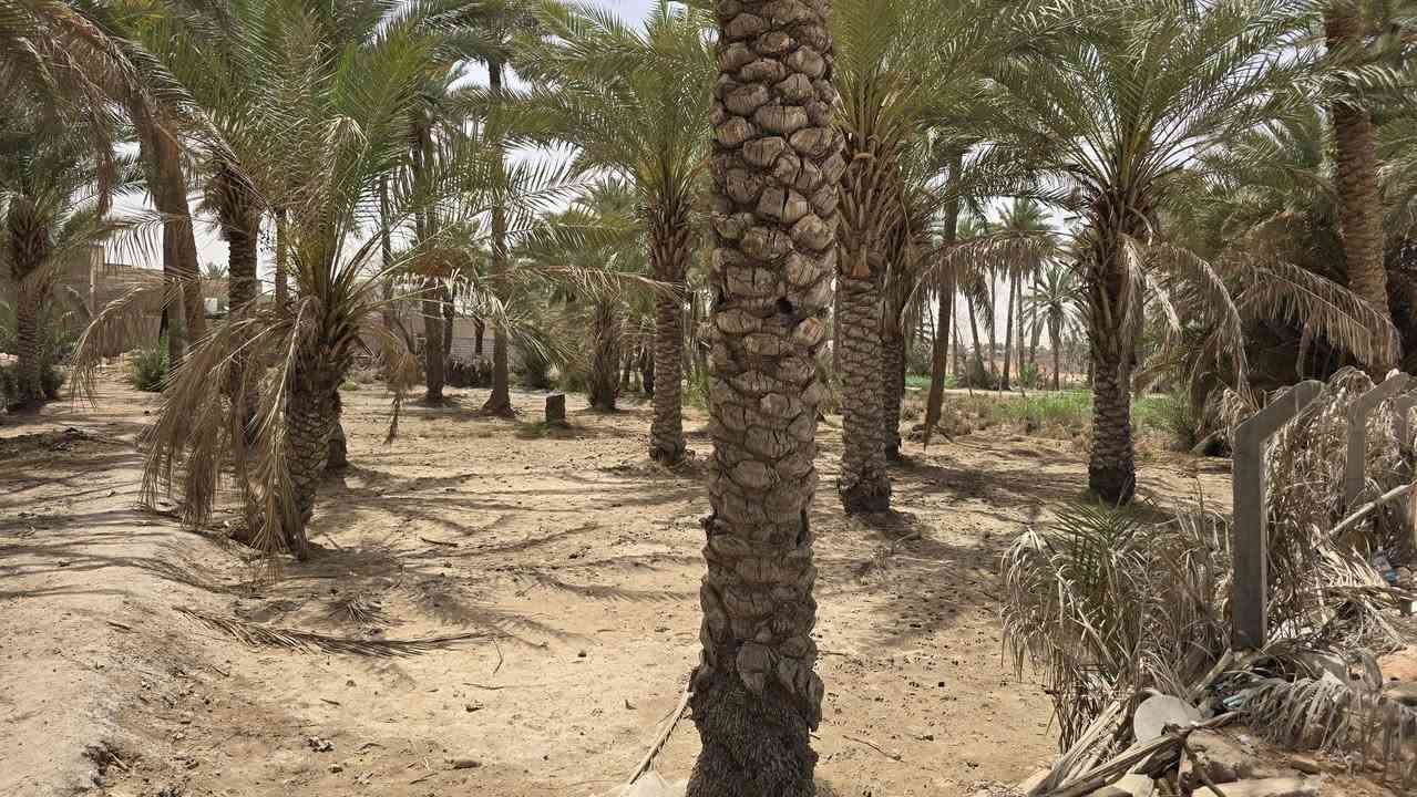 أرض زراعية للبيع 

🔴 التفاصيل 

🔹️ موقع تجاري متميز 
🔹️ على الشارع العام 
🔹️ الأرض مطلة على اكثر من شارع 
🔹️ مساحة الأرض الكلية 3.5 دونم
🔹️ طابو زراعي 
🔹️ سند 25
🔹️ متوفرة جميع الخدمات 

🔸️ موقع الأرض خلف محطة وقود ريبال . قرب جسر الامام علي 

🟥 موقع المكتب : الكوفة شارع ال عيسى 

للتواصل والاستفسار 
***********
***********
امجد ابو حسن
