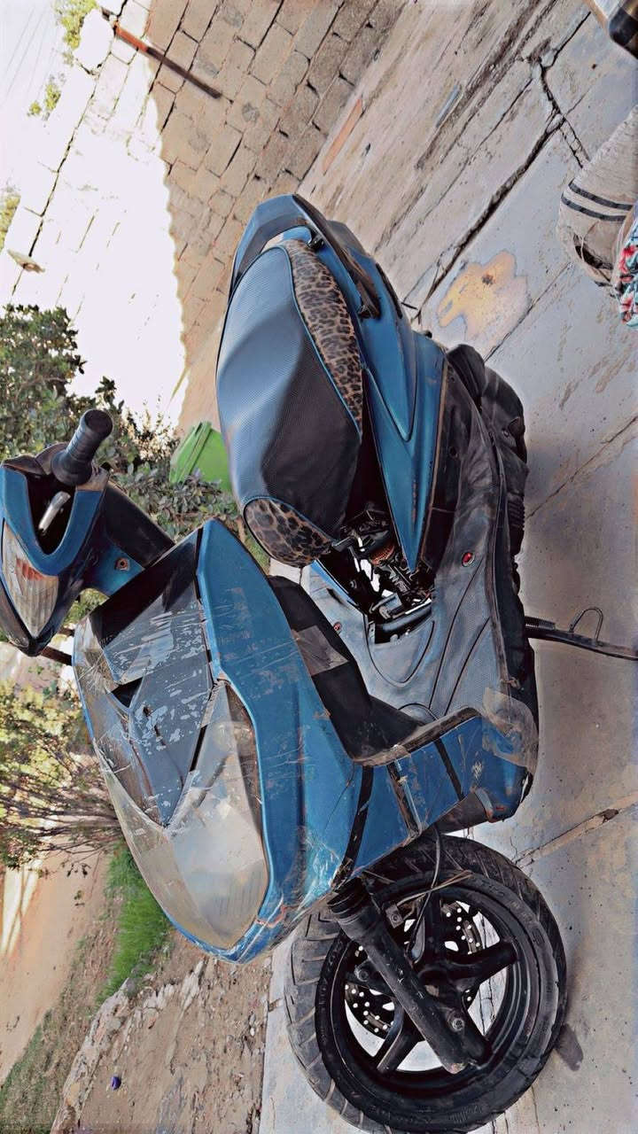 سلام عليكم سكنس فحل  للبيع الدراجه مكصوصه من بره قبل سنه الدراجه 58 تزويد بلادي 600 وبيهه مجال *********** بيه وتساب
