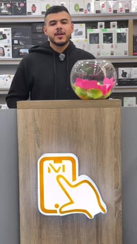 منت ستور • محل • اكسسوارات