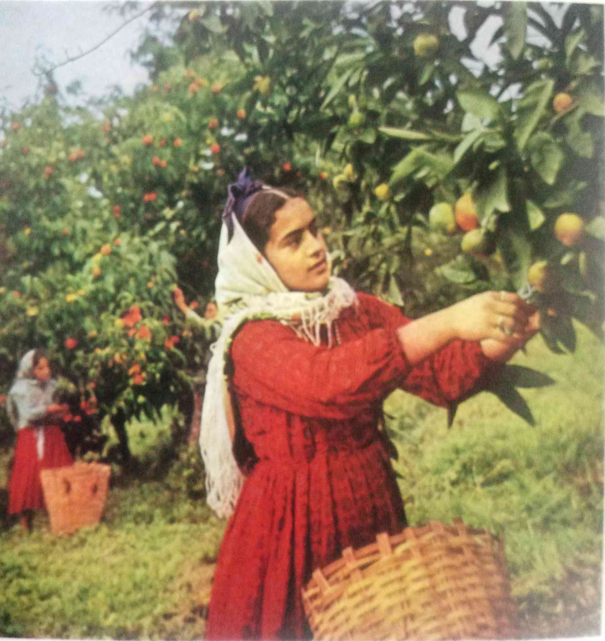 أذربيجان 
كتالوج 
سعر ١٥٠٠٠


**إذا كنت صاحب هذا الإعلان وتريد حذفه لأي سبب، رجاءا أرسل رسالة إلى الدعم الفني**