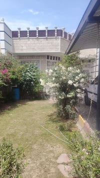 بيت للبيع مساحه 256متر غرفتين نوم +استقبال+مطبخ+صاله كبيره+صحيات2+مناو...