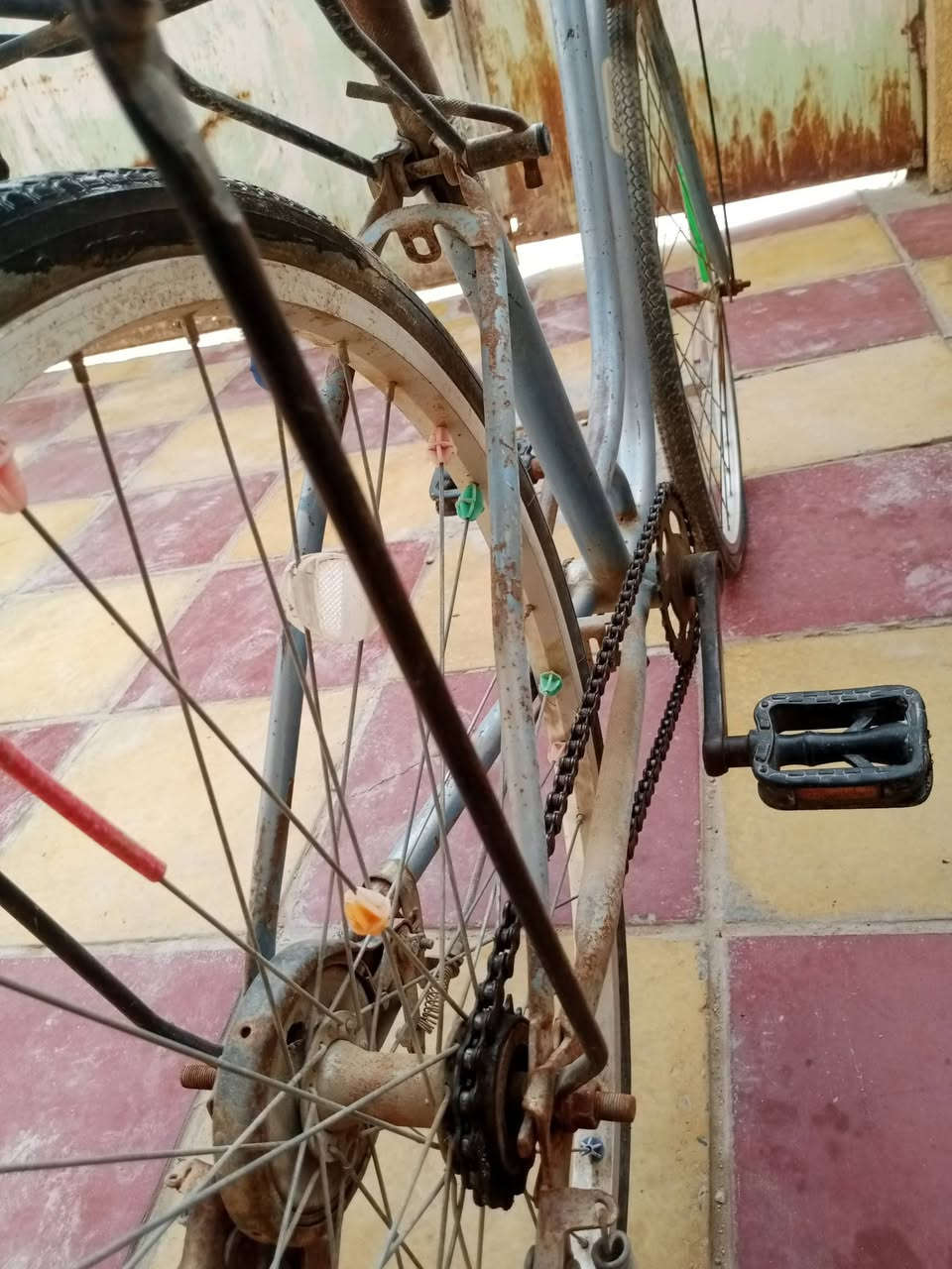 من رخصت الادمن المحترم
باسكل للبيع السعر 35قفل 
***********
