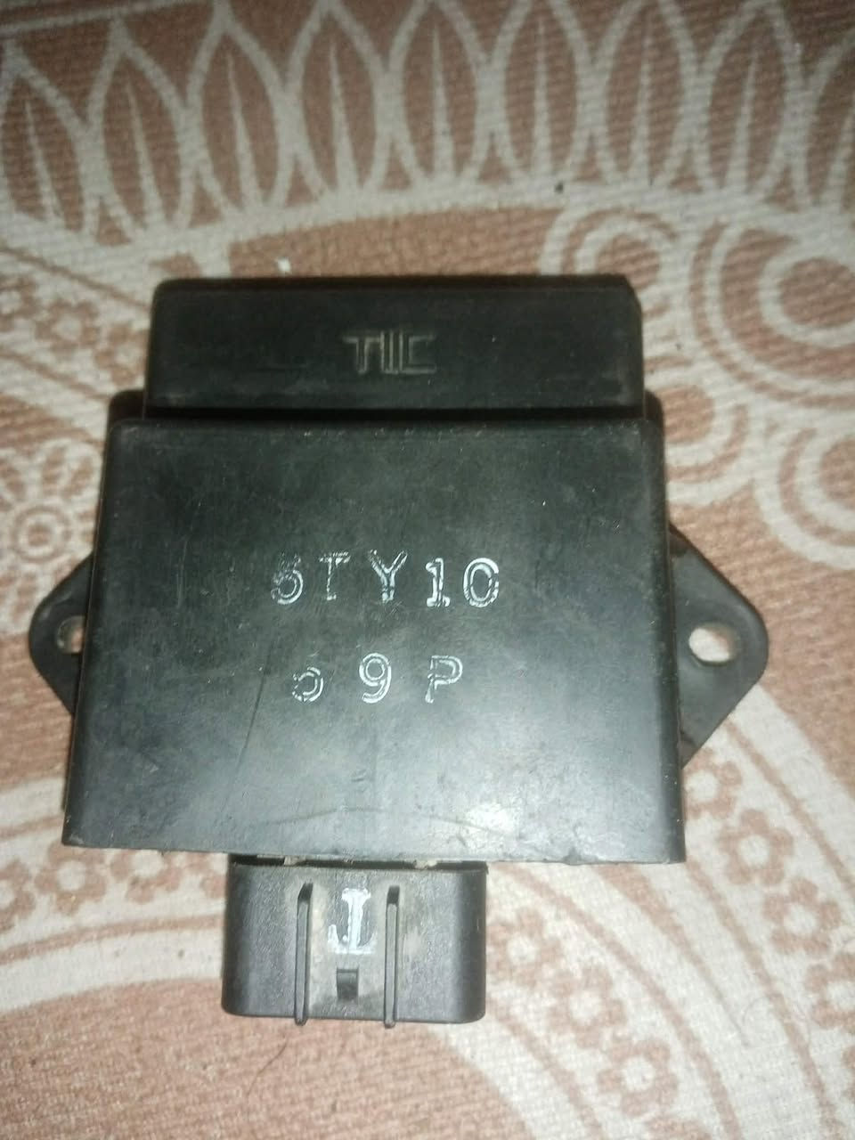 عقل سكنس نثيه بلادي ويرهم ثعلب السعر ٢٥ مكاني بغداد الحريه ***********
