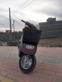 منغولي • كهربائيات شغالة • كربلاء الروضتين