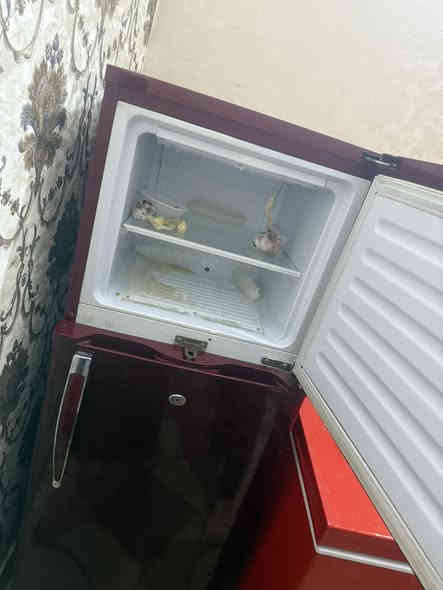 سلام عليكم ثلاجه لبيع طولهه متر و٤٠ نضيفه كلش سعرهه ١٧٥ وبيهه مجال وهذه رقم بي وتساب ***********غير متواجد للفيس
