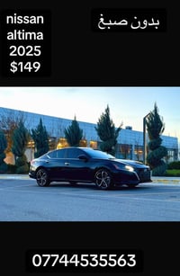 التيما ٢٠٢٥ • ٢.٥ لتر • بدون صبغ