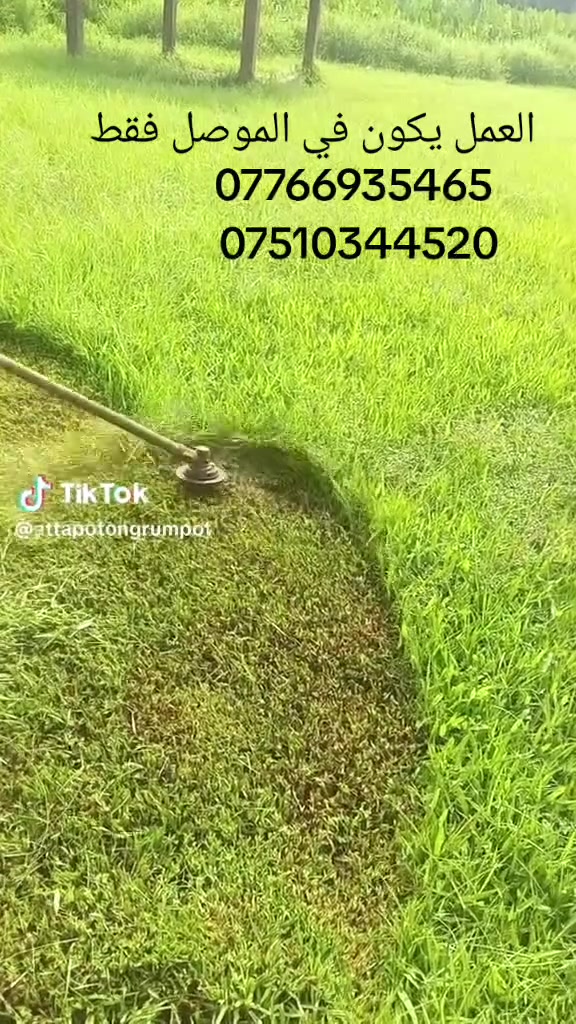 اي احد عندو حدائق بيت اني اشتقلها قص ثيل زرعه ورود وشجار  عمل لاينات الحديقة صف شتايكر او طابوك  تقليم اشجار  تقيم اس وكل ما يتعلق في الحديقه العمل يكون في الموصل فقط جانب الأيمن والايسر لتواصل (***********)(***********) @إشارة
