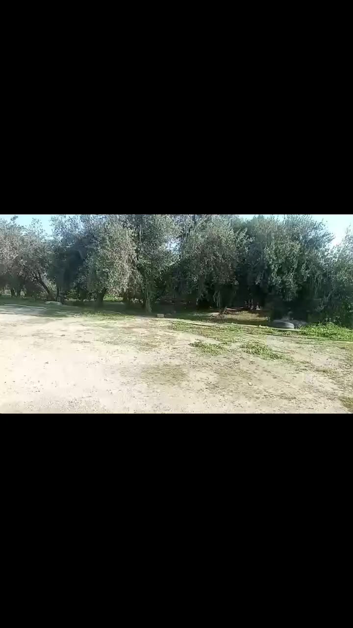 للبيع اراضي مع بيت
تقريبا نصف دونم
سعرها سعر خاص 
 رقم تلفون***********
مو شرعي لا تخابر رجاء
