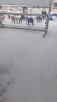 حمال زوليه ٤ • حماله كاربت ٦ • بابل