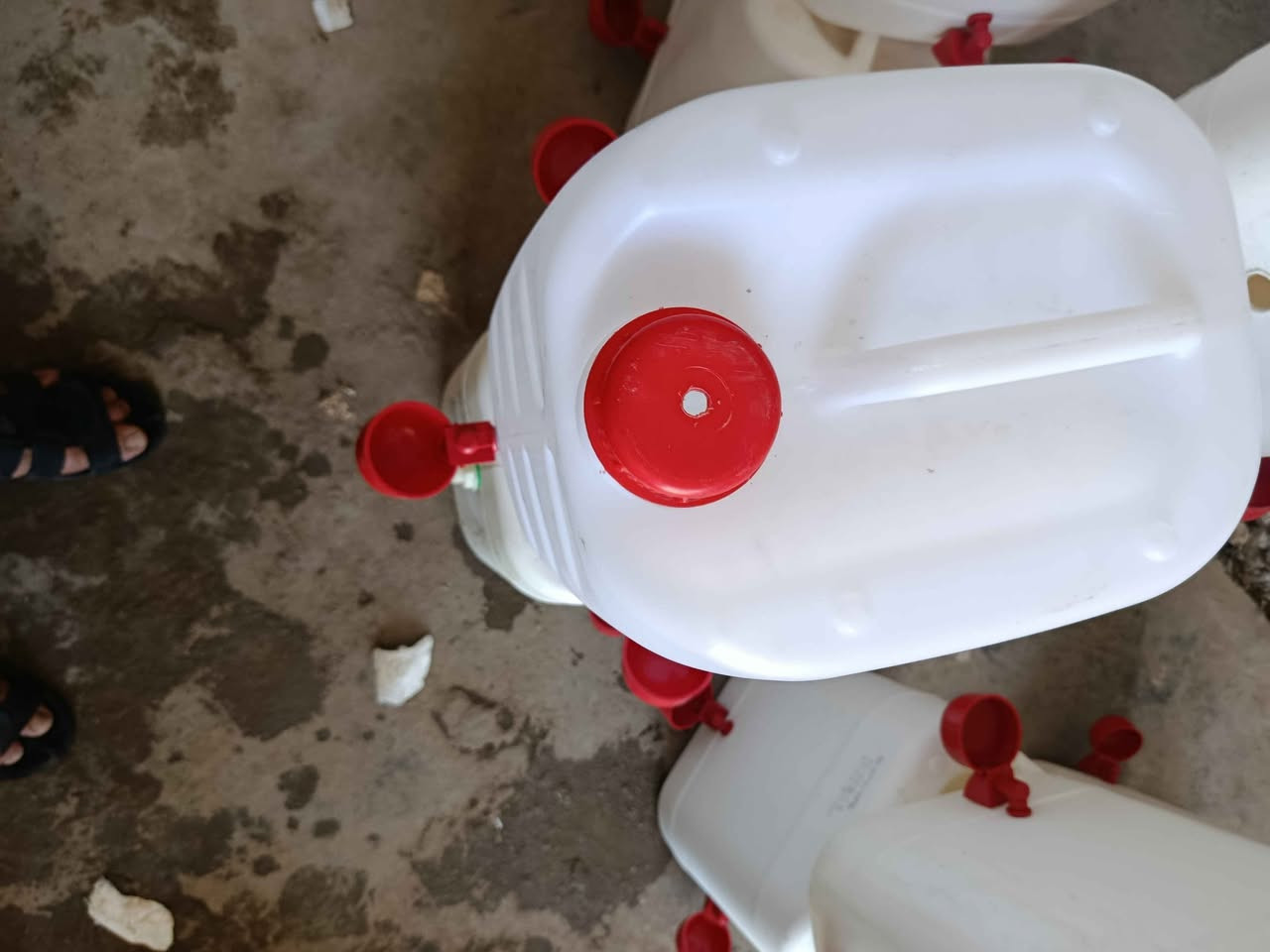 خۆت ڕزگاربکە لەناڕەحەتی زووزووگۆڕینی ئاوی پەلەوەرەکانت یان سەردانکردنیان لەباخ یان له هەرشوێنێک بێت *********** السليمانية, العراق
