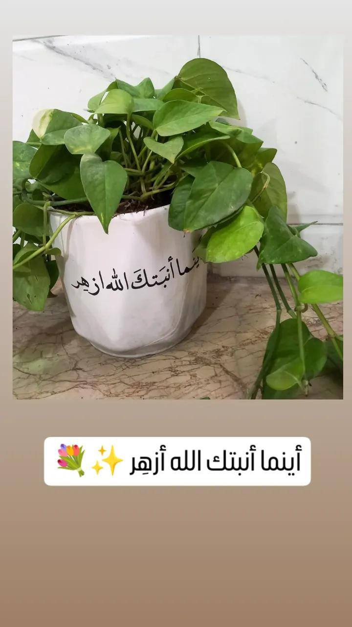 جايكم العيد وعيد الأم ☺️
شنو احلى من الجمال الطبيعي تهدوه لأمهاتكم🌷
 شوفولي جمالهم مع السنادين (ومتوفر طباعة اي شي يعجبكم ع السندانة) 👇
#مشتل_زهور_النرجس 
توصيل//متوفر لكل المحافظات 
الدفع// متوفر ماستر. او زين كاش (لليحب يرسل هدية)


**إذا كنت صاحب هذا الإعلان وتريد حذفه لأي سبب، رجاءا أرسل رسالة إلى الدعم الفني**