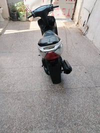 ثعلب • كامله • كهربائيات