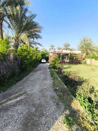 وبركاته دار للبيع🏠   المساحه 1250 عدا المُحَرمات مُقابل الشط مُباشر 🌊 ...