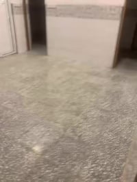 شقة أرضية • الشعب شارع عدن • غرفتين وصالة