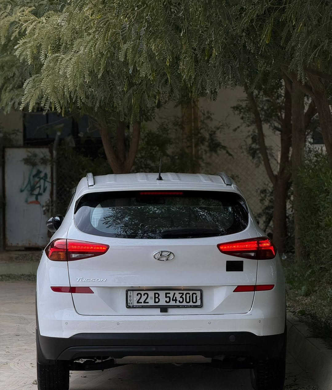 آللهم صلي على محمد وال محمد
السلام عليكم 
توكسان 2019
كوري الاصلي شركه كلصاد ماشيه 61الف محرك 200دوش 
رقم اربيل سنويه مجدد 2030 بسمي تحويل شوكت ميعجبك 
سياره مكفولا من صبغ وتبديل وبأرد حته الدعاميات سونار جديد 
بالمنشور مواصفات 1/1عدا بانوراما 
تشغيل بصمة بيبان بصمة 
كشن جلد شحن لاسلكي تبريد داخل الچكمچه 3وضعيات قياده 
نورمل/سبورت/ايكو
شاشه يدعم كاربو بلاي 
اريل نفكيشن بگ لايت شمعه لد امامي ويل19يدات نيكل ترحيب بيبان +ترحيب مري +بصمتين مع السيارة اسبير وضع شركه مانازل العده والغراض كله وياه دواخل بيبان ودوسات مغلف ببي ايف حماي تخم تايرت جديد صدر 2 وضع شركه اترايك   صفر  مانازل بردا داخل صندوق 📦 
مكان السيآره كركوك قضاء داقوق 
السعر212وبيها مجال قليل***********
