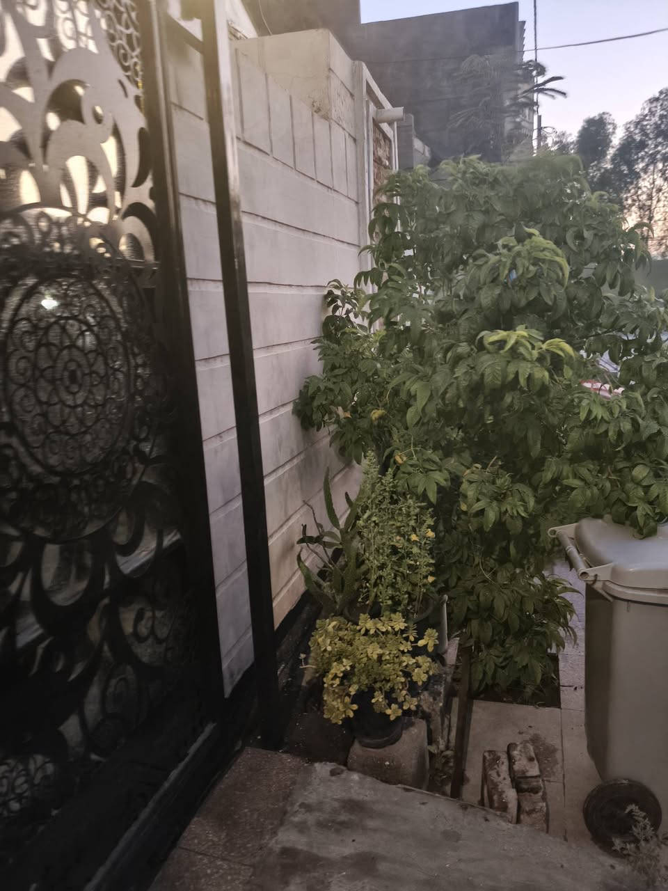 دار البيع بعقوبة السكك مقابل قيادة الشرطة خلف الجمعيات الفلاحية سابقا 150متر أربع غرف نوم صيحات طابقين كراج سيارة صالة استقبال منورين مطبخ للاستفسار الاتصال على الرقم ***********
