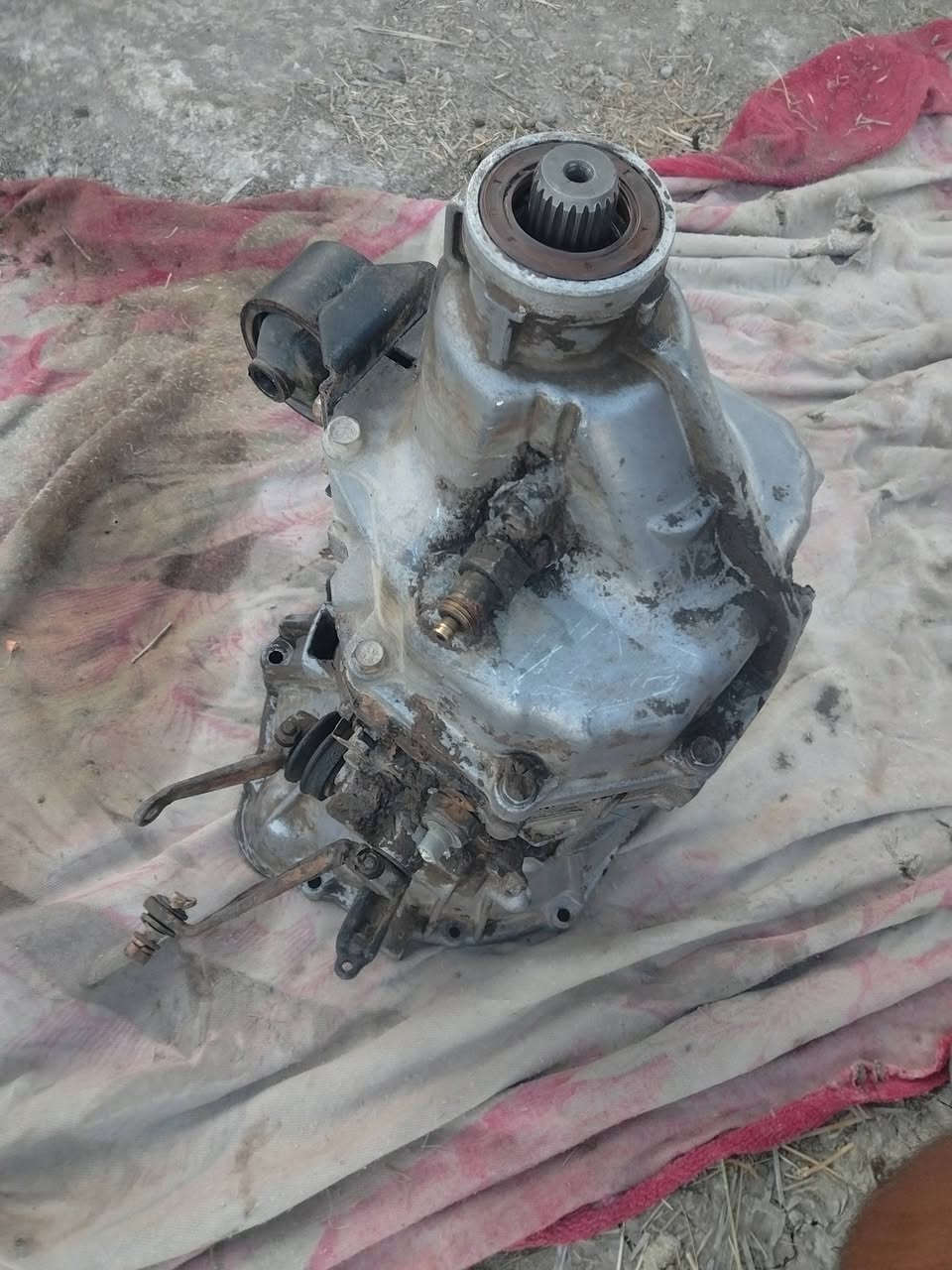 سلام عليكم
كير البيع فتون موديل 14 جاهز اي نقص مابيه عينه صينيه جاهز جيب وشد سبب تنزيل مايعرف يسوق العادي حور اوتماتيك كير خير من الله الشراي بيه خير ويدلل رقم ***********
