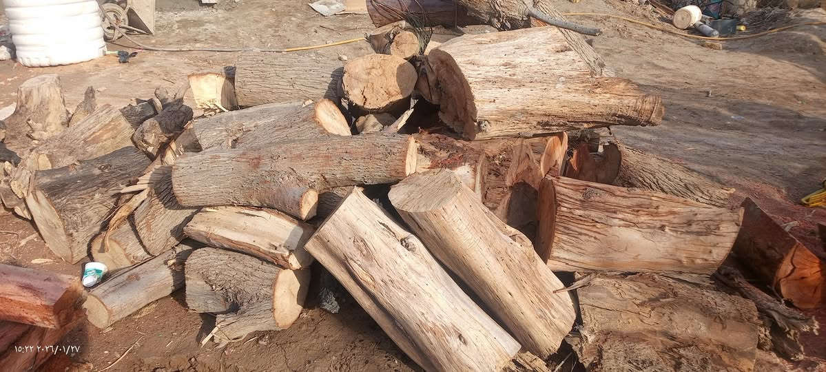 السلام عليكم حطب اثل وطرفه ونبك  للبيع   مكاني ديوانيه الشاميه مكصوص وجاهز اي استفسا   اتصل ع الرقم ***********
