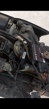 خطين جبلي • بوليس مضلع • قوي