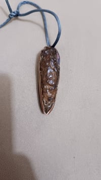 هباب • قديم • ٦٠سنه