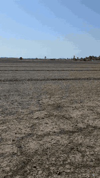 فرصة أستثمارية في 
أطراف بغداد
بسعر مناسب جدا
للبيع أرض زراعية ١٢.٥ على طابوا المحمودية 
في منطقة الرضوانية قريبة على سريع الجديد
الدورة اليوسفية ١٠ دقائق وعن الكرادة ٢٠ دقيقة
للأستفسار 
*********** وتساب
***********
