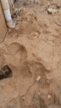 من رخصة المسؤل🌹من ميسان العمارة رقم تليفوني واتساب هم بية *********** قلع ارضيات تنكير تفليش تصعيد تراب تصعيد طابوك تصعيد رمل تصعيد شتايكر كافة المواد مساوات بتالو لبخ بتالو تزفيت بتالو كافة الاعمال
