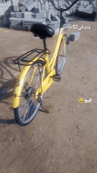 كربلاء العامرية • شارع أم البنين • دراجة