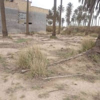 ٥٥٠م • طابو زراعي • ماء كهرباء