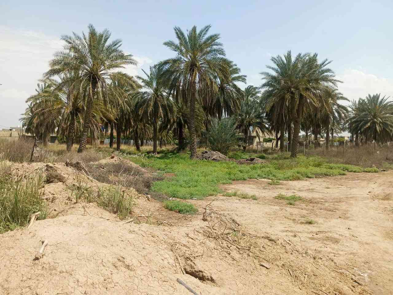 دونم للبيع
سلام عليكم 

دونم للبيع في السريدات القديمه بانهايه المربع الثالث

مساحه الارض 2500متر

واجه 36متر

نزال 71متر

نوع العقار زراعي سند 25

السعر خاص 

للاستفسار 

***********
