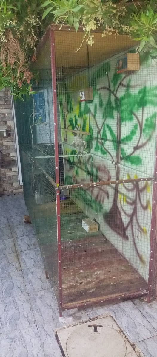 السلام عليكم
قفص اطيور حب  3×2 

مثل ما موضح بالتصوير 

++

دجاج كوجن واحد شعر واحد ريش 5 اصابع مكلف بنشر تواصل  ليث حسين


**إذا كنت صاحب هذا الإعلان وتريد حذفه لأي سبب، رجاءا أرسل رسالة إلى الدعم الفني**